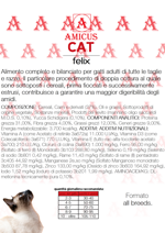 amicus-felix
