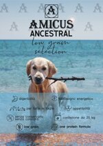 amicus-beef-rice-low-grain