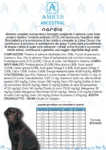 amicus-nordic