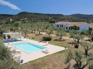 img_2050.jpeg img_2050.jpeg