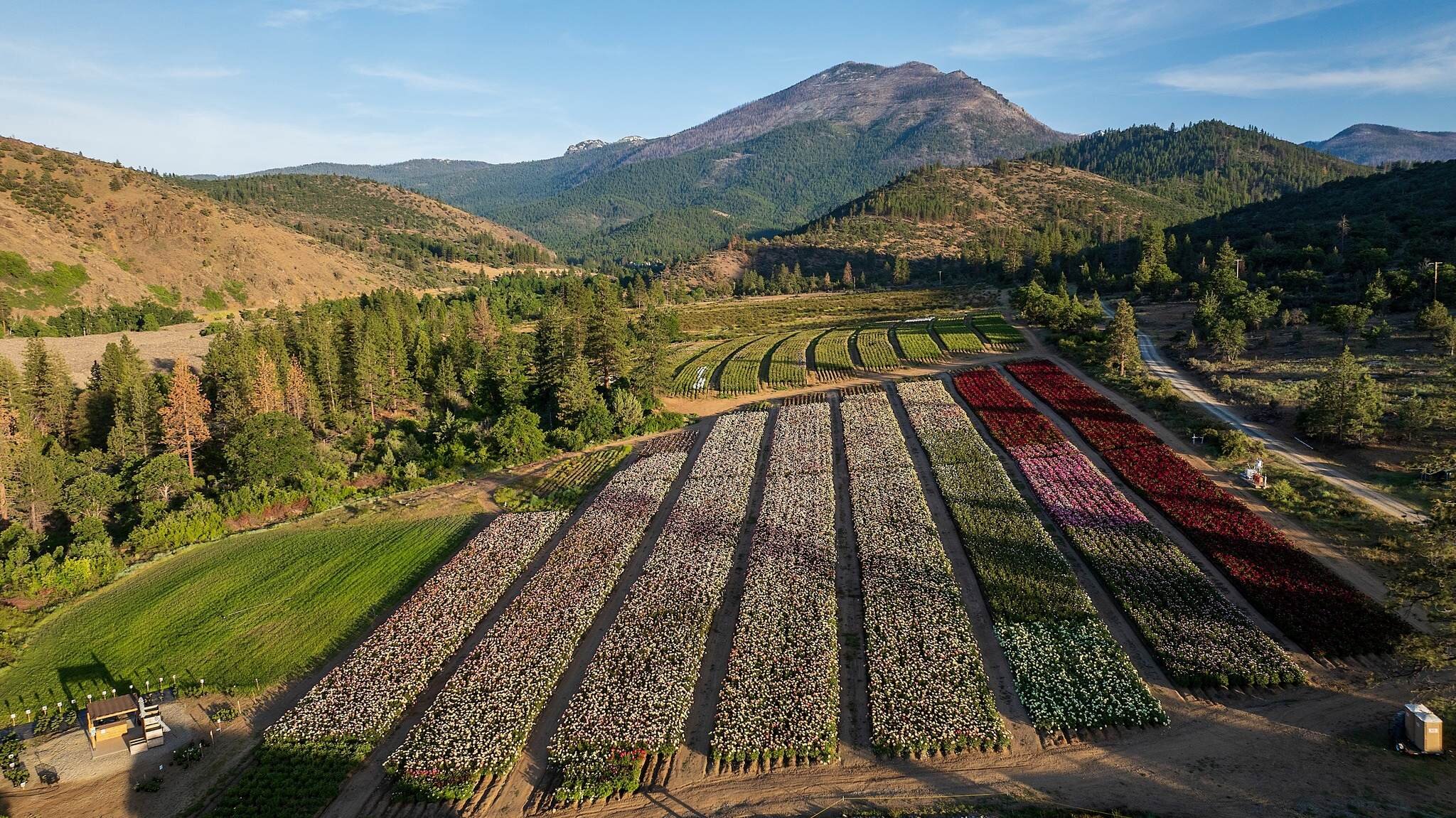 California in famiglia