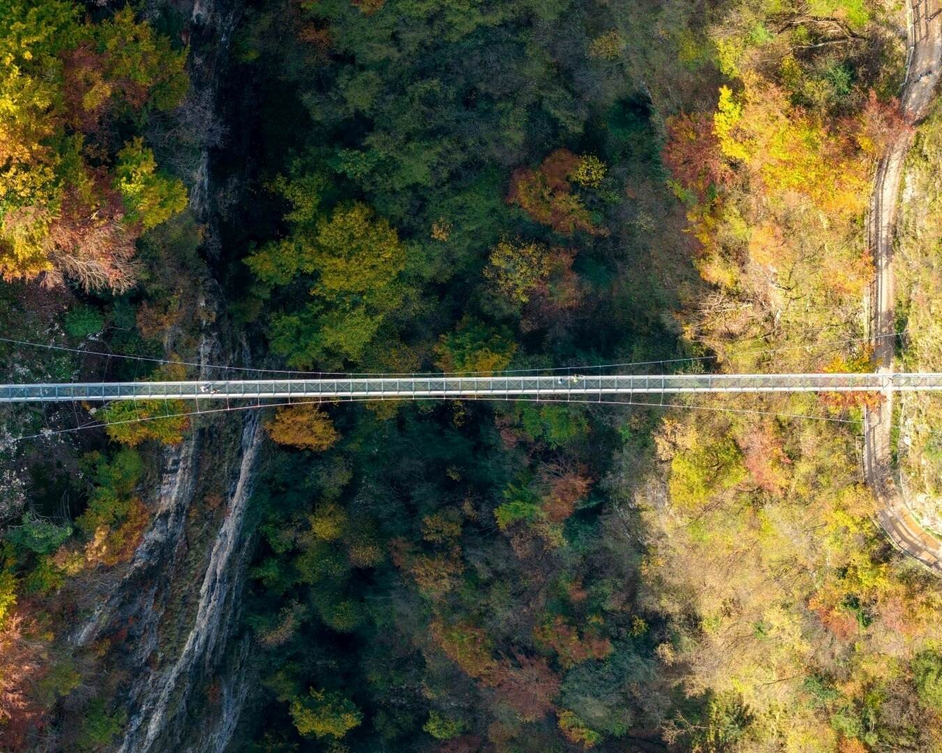 565671698_1414199654044231_1745276636776195759_n.jpeg 565671698_1414199654044231_1745276636776195759_n.jpeg