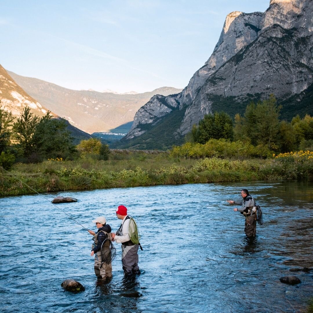 559878673_1414199160710947_6915839982886878530_n.jpeg 559878673_1414199160710947_6915839982886878530_n.jpeg