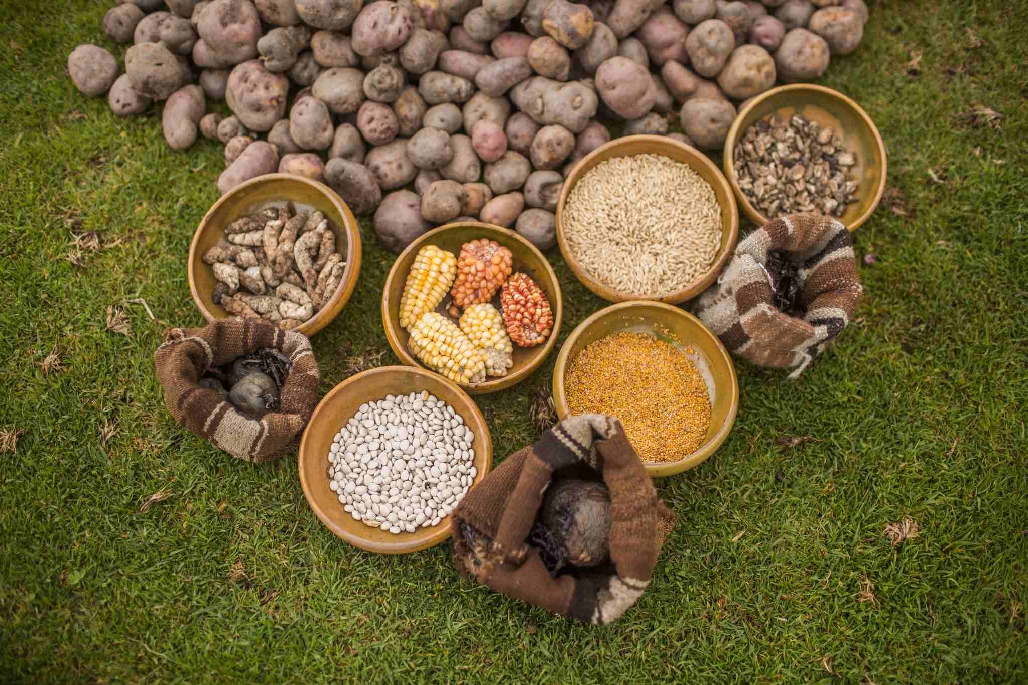 Un Viaggio nel Gusto: il Calendario Gastronomico del Perù