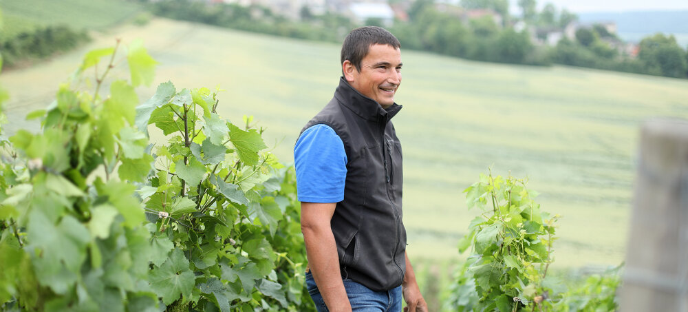 Champagne Extra Brut “Naturellement” Maison Cazé-Thibaut