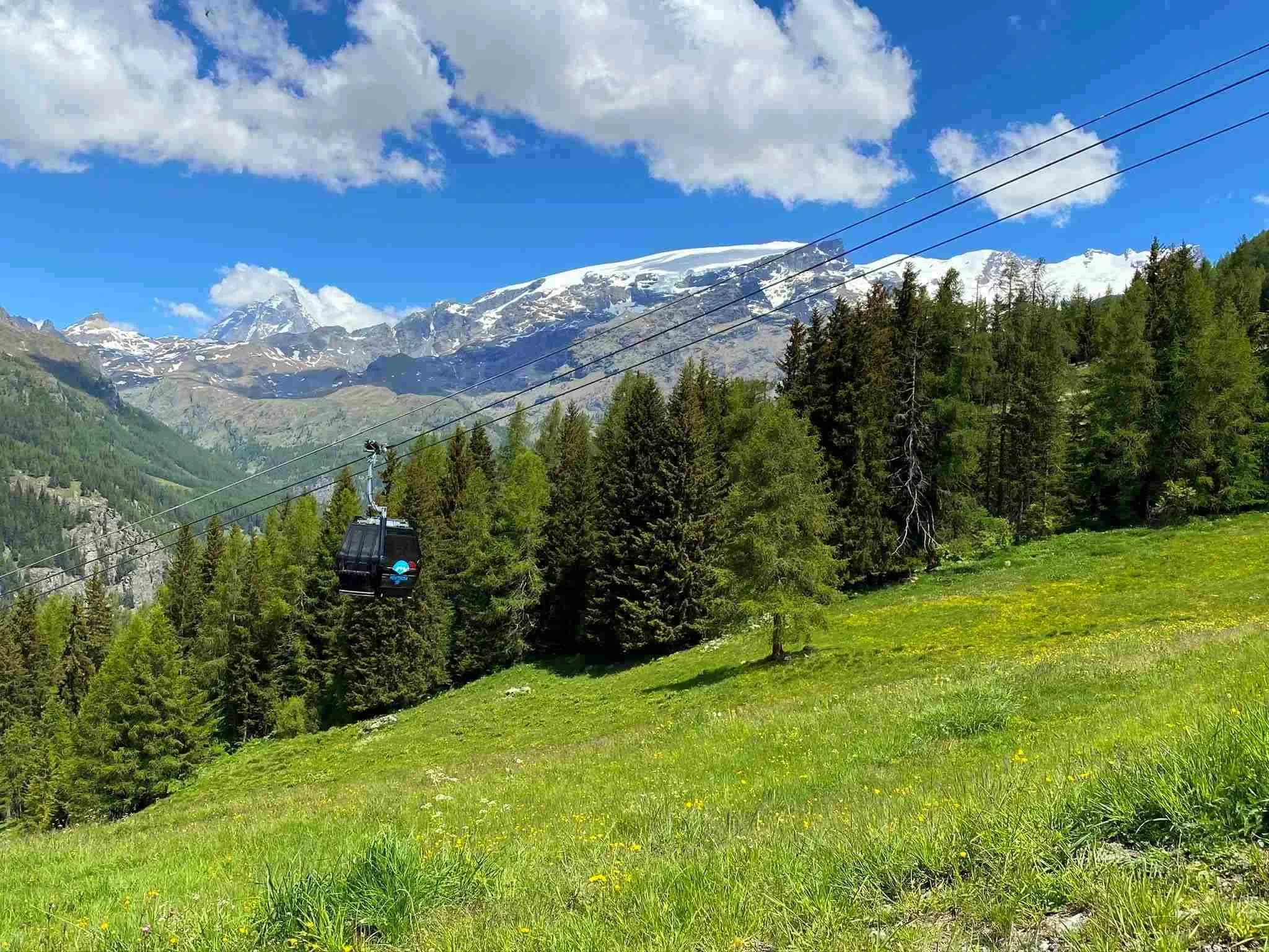 733974988_122173172948896315_6537192725251795059_n_11zon.webp