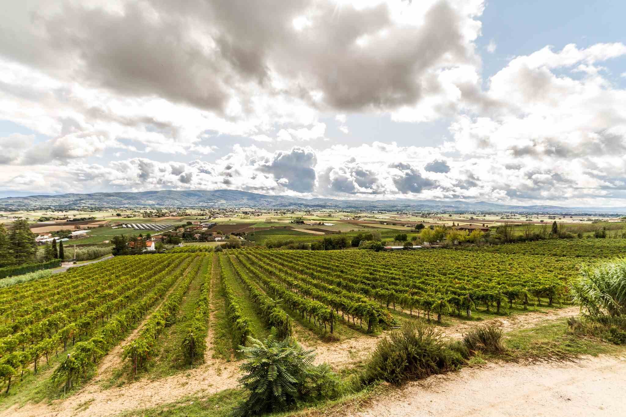 Viaggio tra i vini e i borghi dell’Umbria con Umbria Top Wines