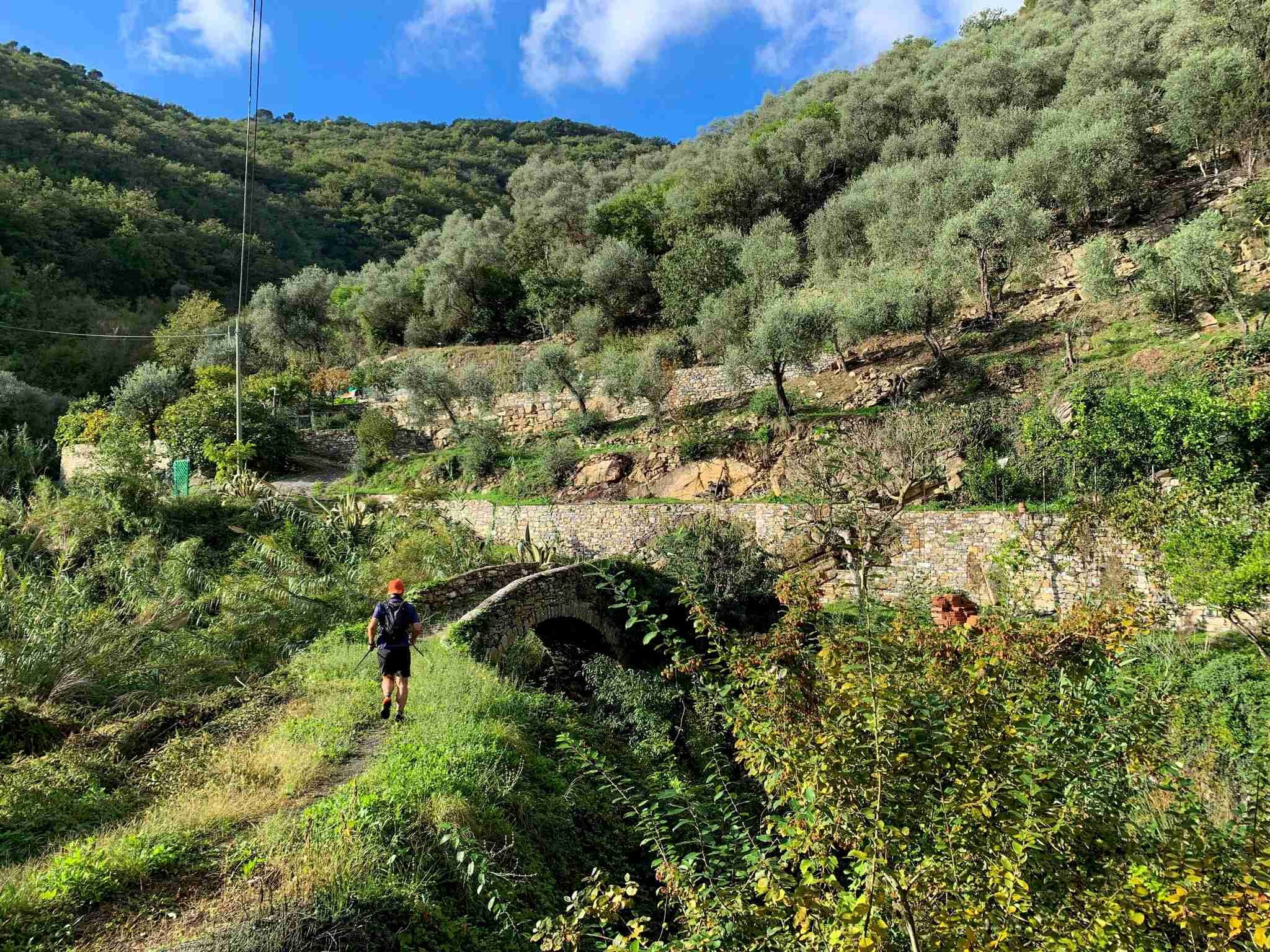 La stagione dell’olio nuovo taggiasco nei Borghi di Ponente