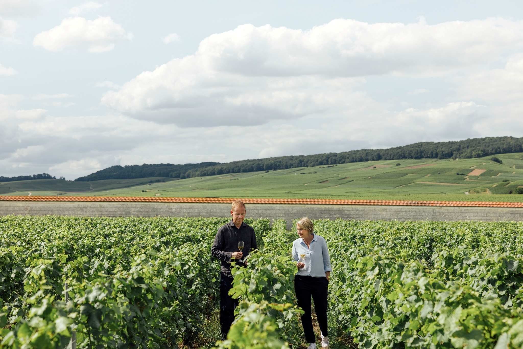 561831608_10234647410560139_8358336599130066437_n.jpeg 561831608_10234647410560139_8358336599130066437_n.jpeg