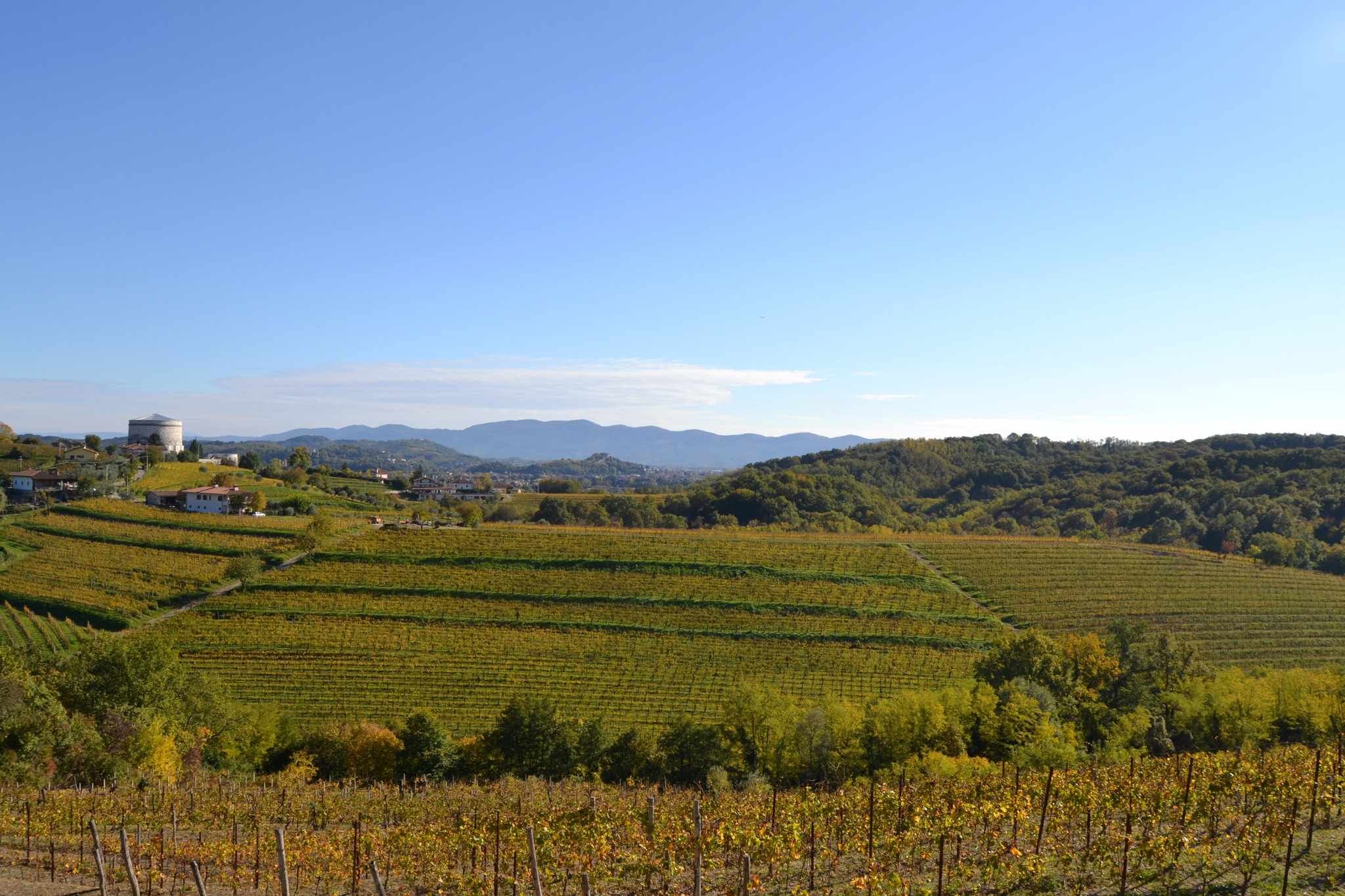 Oslavia: dove la Ribolla è un modo di vivere