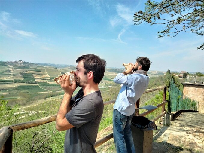 suonata_conchiglie_1_maglianoalfieri_carlosacchetto.jpeg suonata_conchiglie_1_maglianoalfieri_carlosacchetto.jpeg