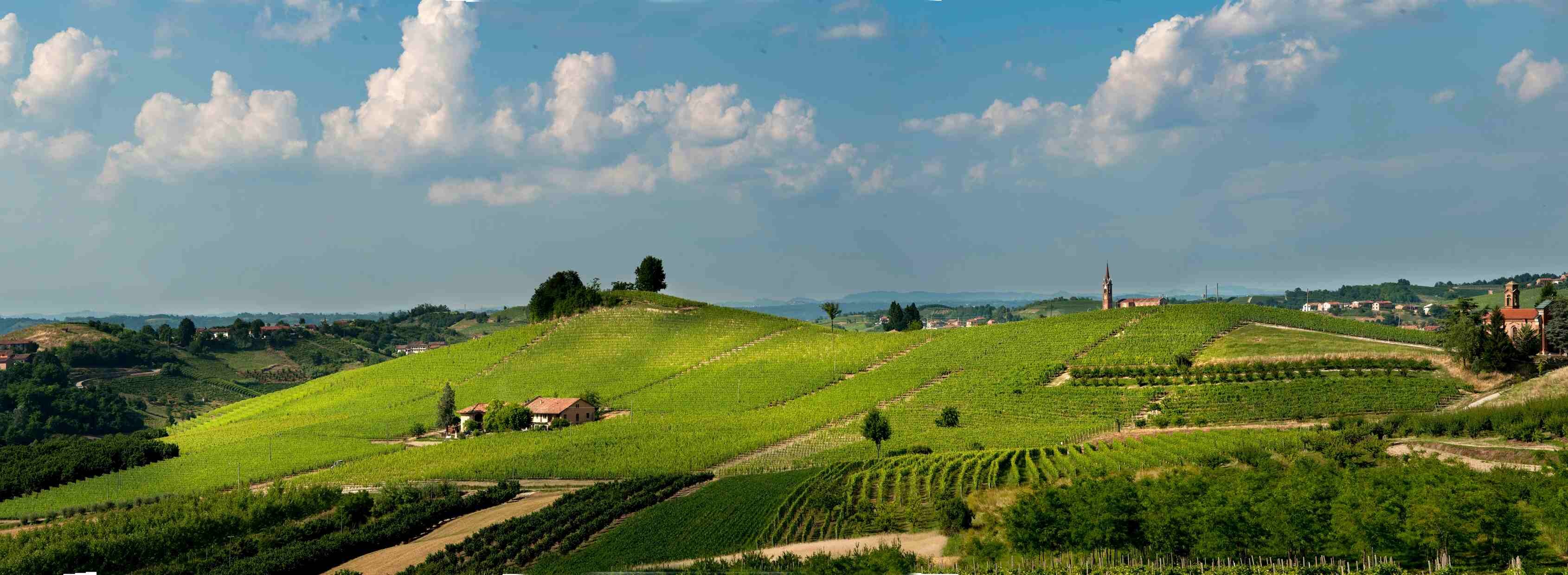 645395537_10236521012119007_6213592889512302930_n.jpeg 645395537_10236521012119007_6213592889512302930_n.jpeg