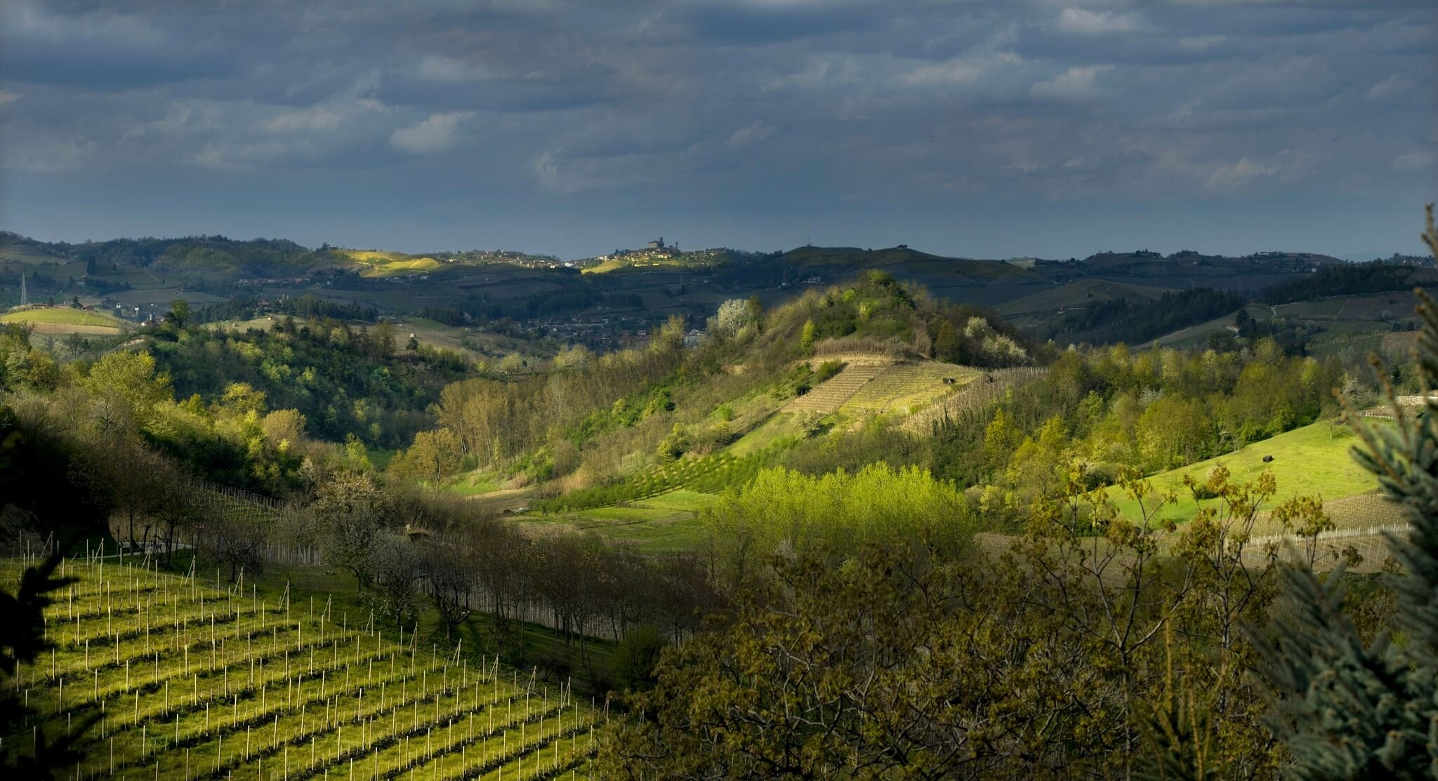 645292062_10236521010478966_5998474794090634630_n.jpeg 645292062_10236521010478966_5998474794090634630_n.jpeg