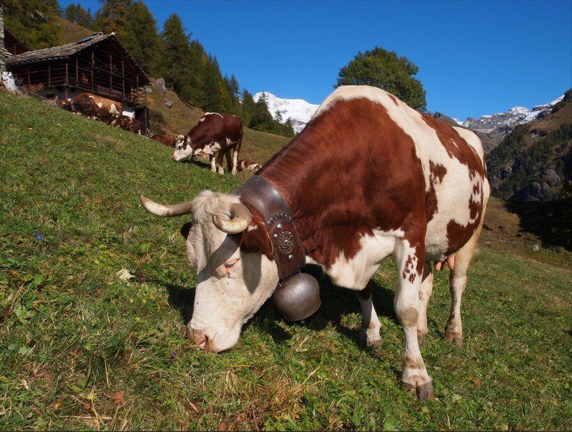 Malgari e leggende di montagna: il lato segreto del Monte Rosa
