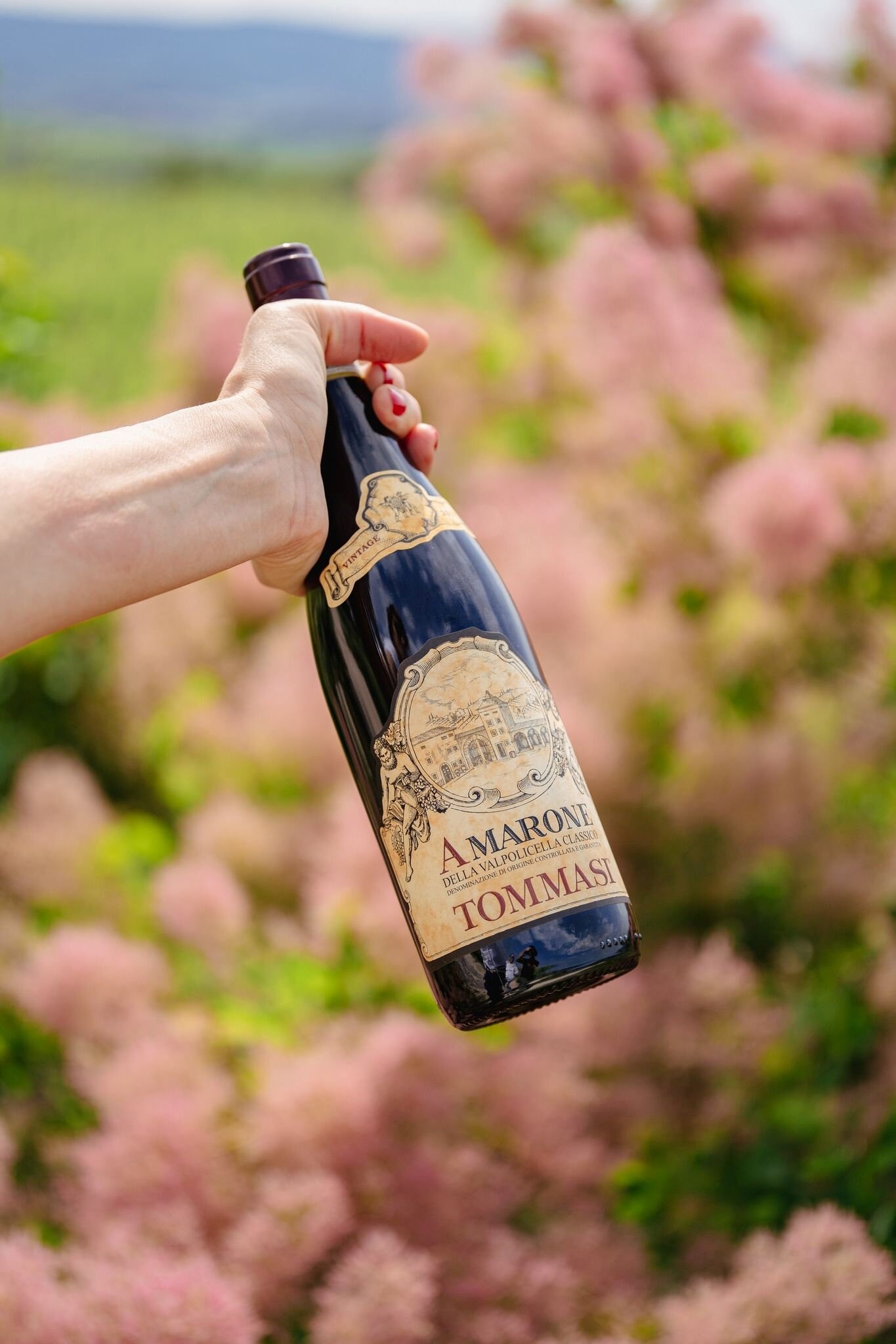 589922861_10235217121722562_4560529437715611754_n.jpeg 589922861_10235217121722562_4560529437715611754_n.jpeg