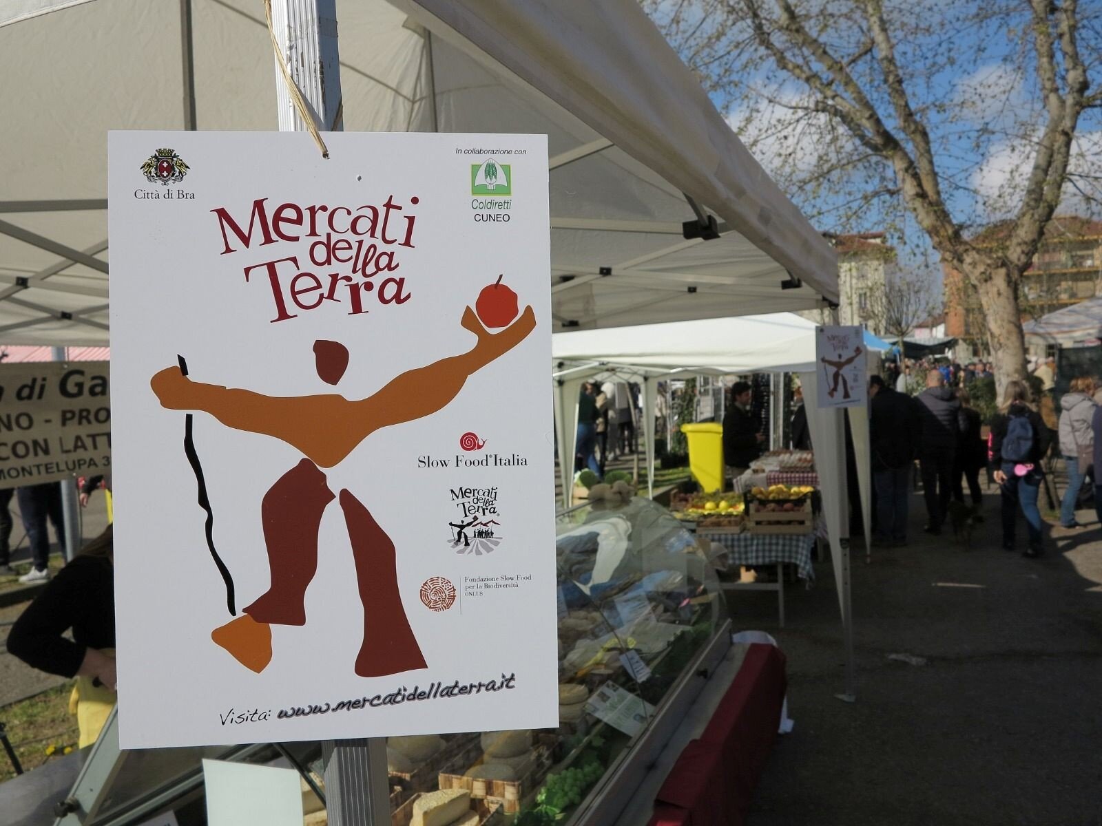 image-1.jpeg image-1.jpeg