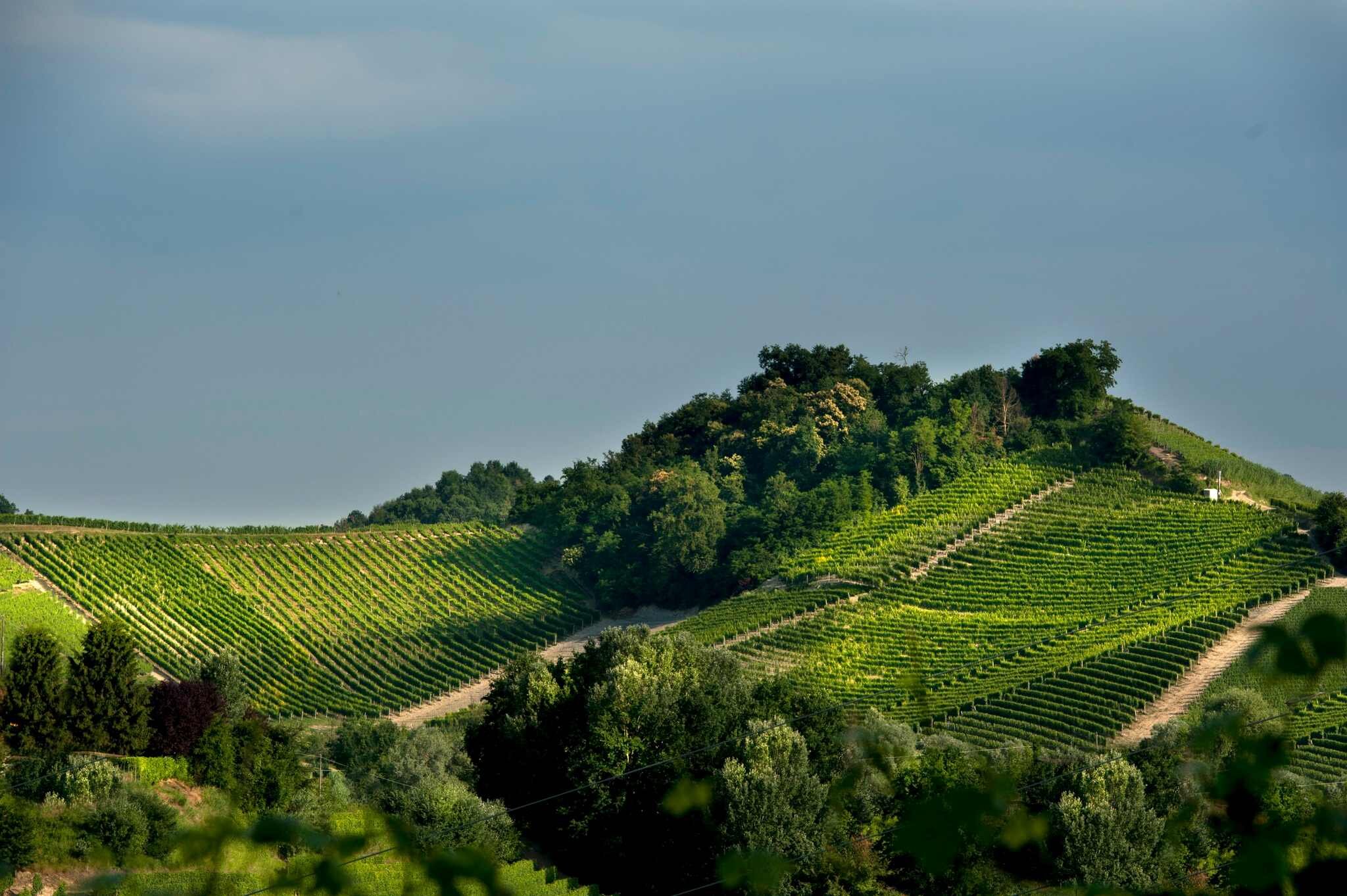 646358407_10236521010438965_1393061243900216421_n.jpeg 646358407_10236521010438965_1393061243900216421_n.jpeg