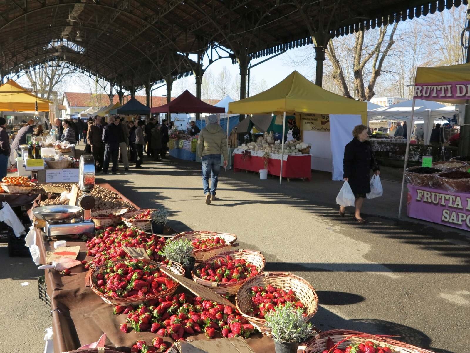 image-2.jpeg image-2.jpeg