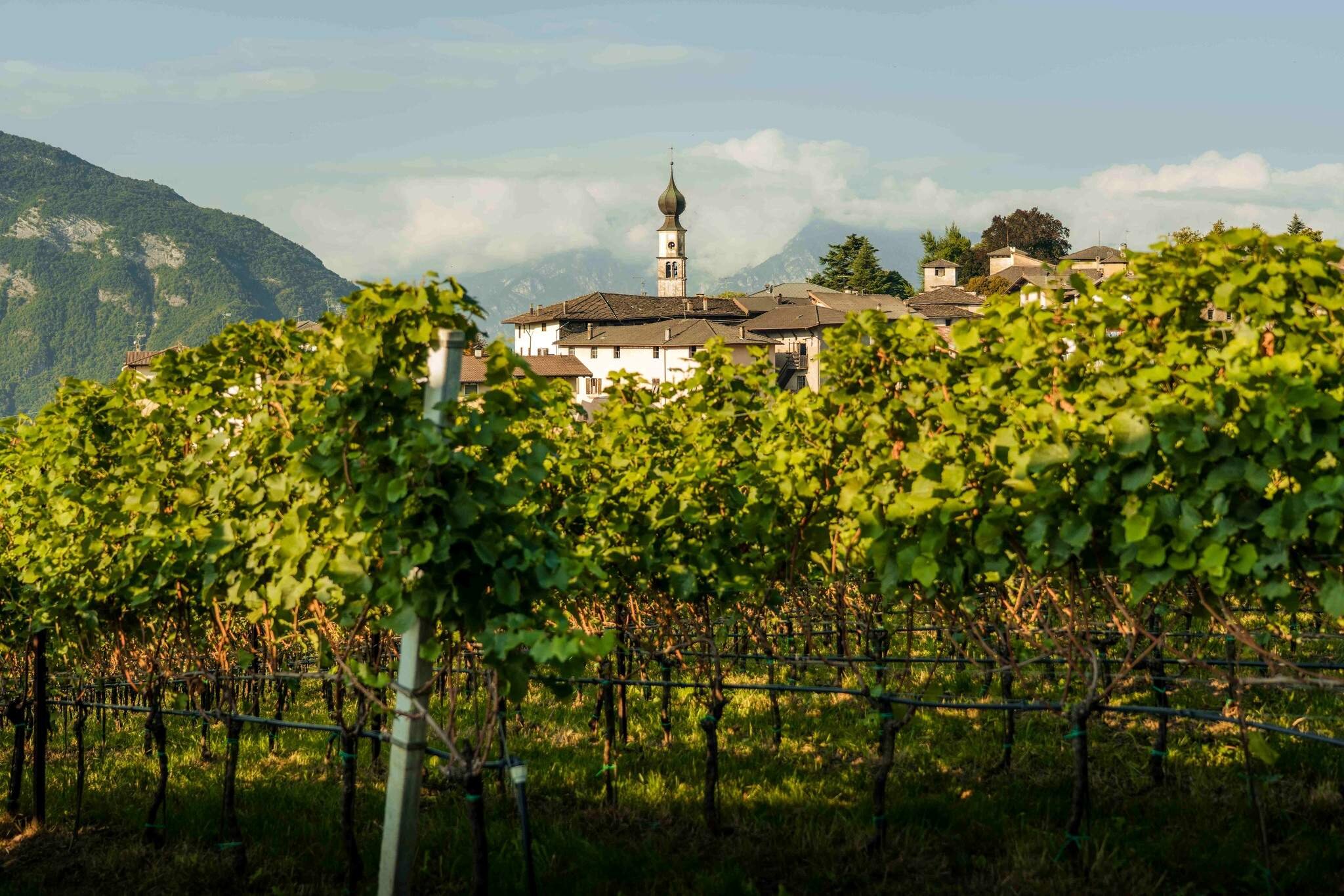 moncalise.jpeg moncalise.jpeg