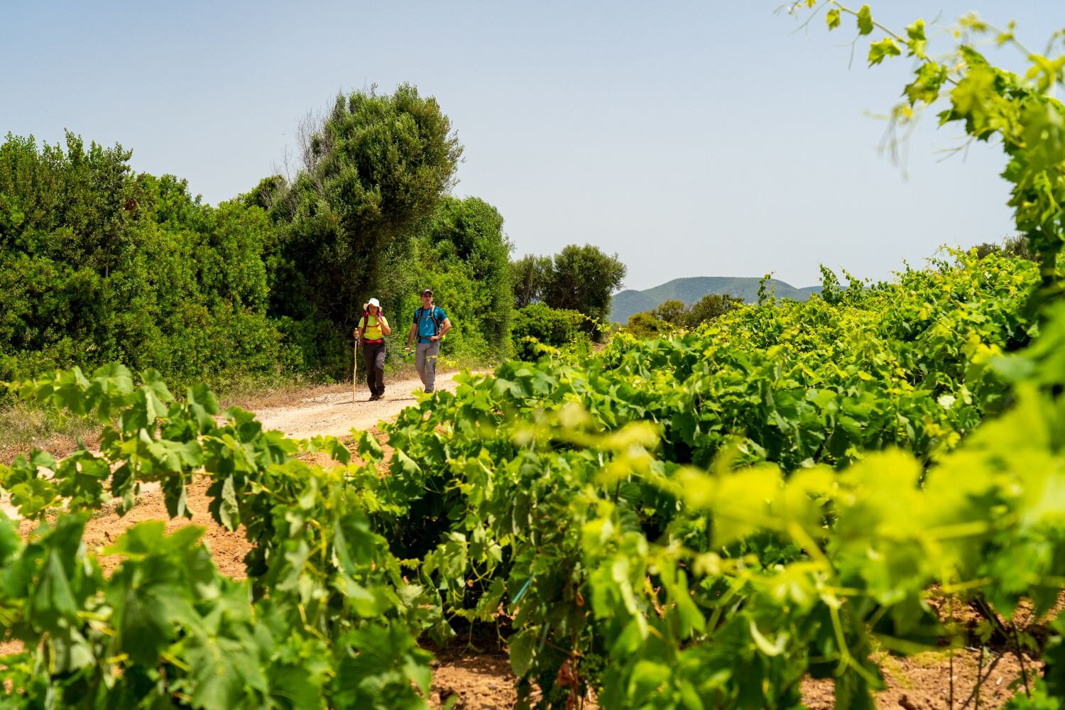 Il Cammino Minerario di Santa Barbara conquista il mondo