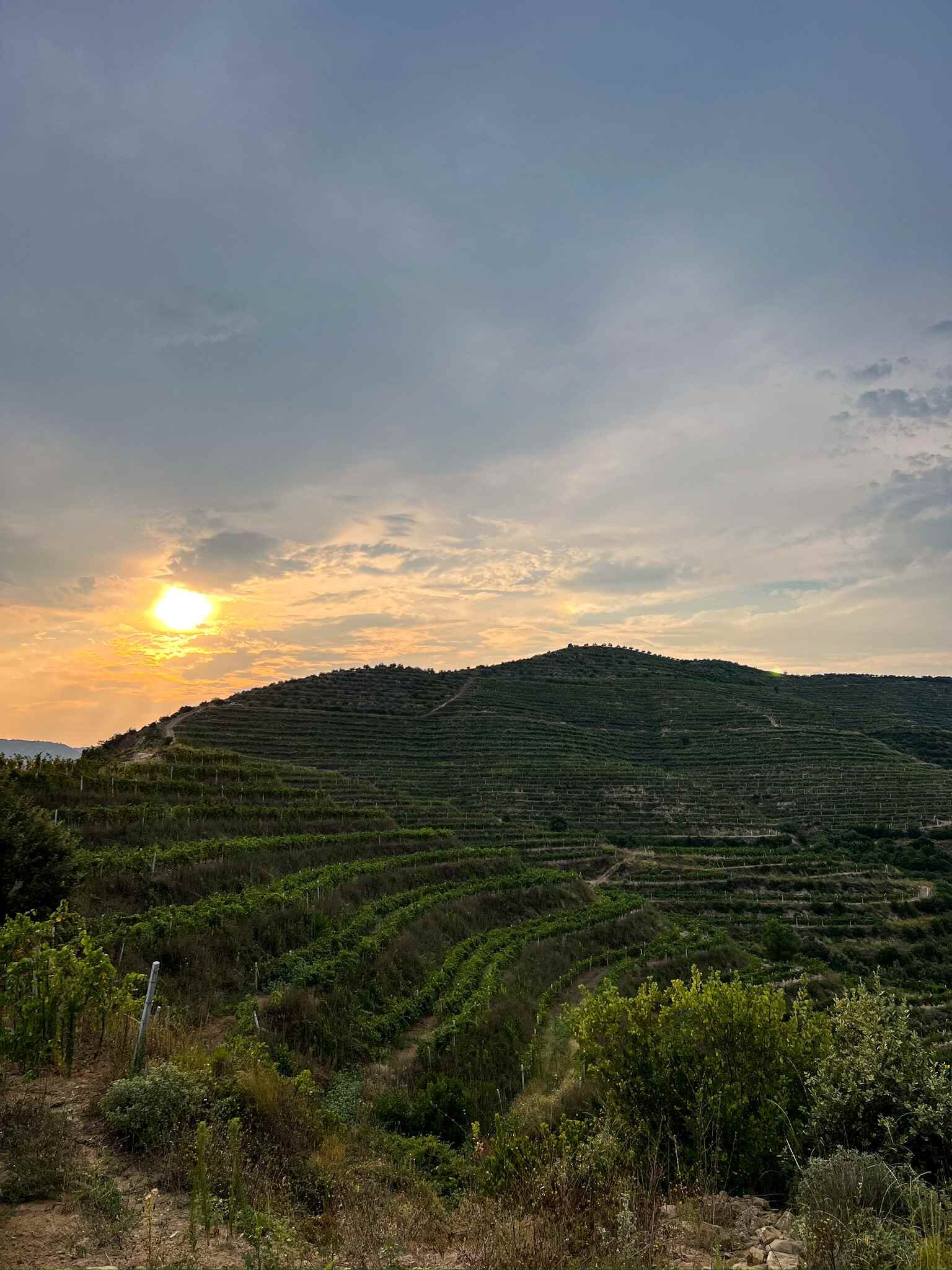 639167929_10236382018884263_1097571155316642359_n.jpeg 639167929_10236382018884263_1097571155316642359_n.jpeg