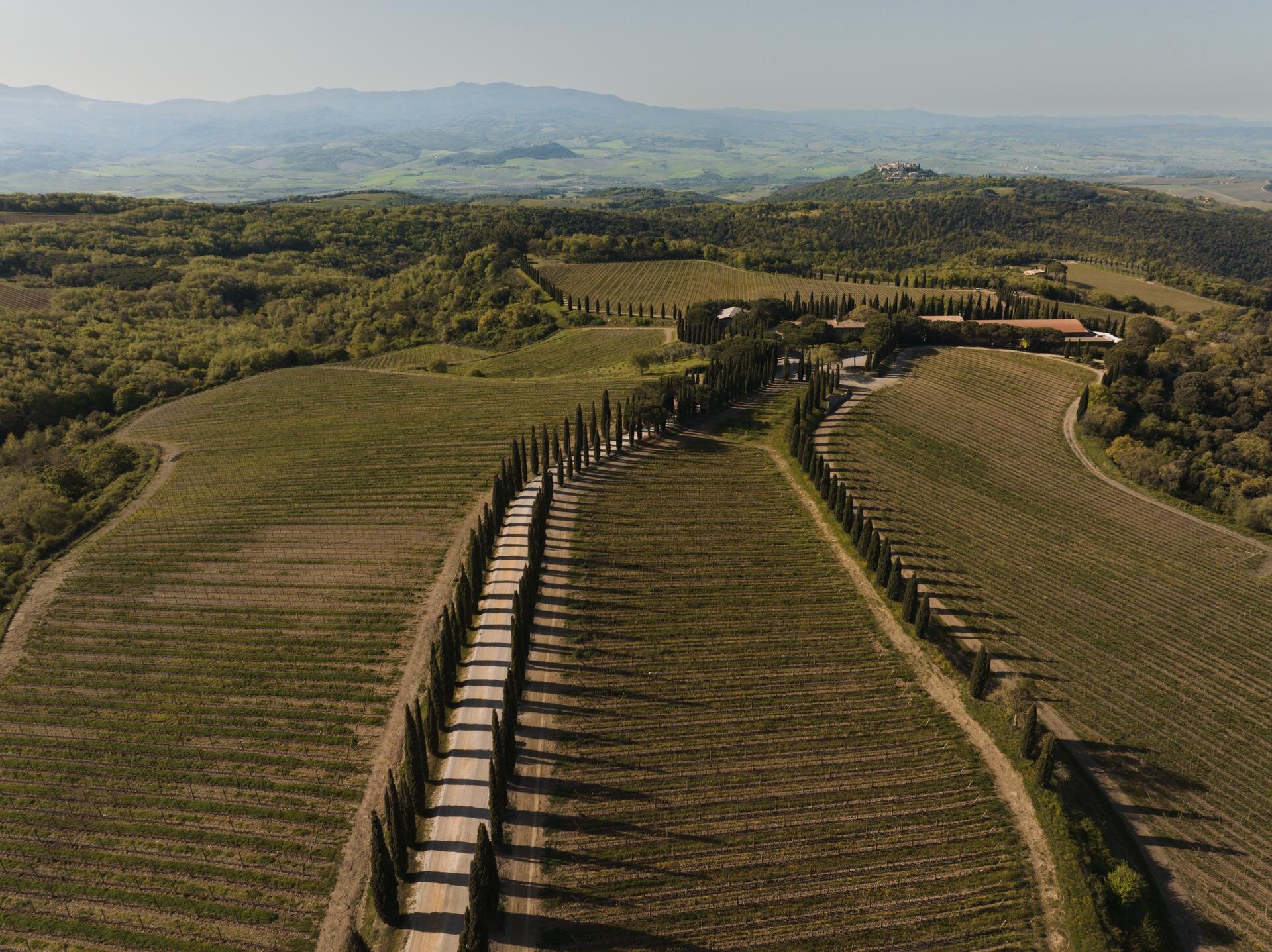 dji_20250422092456_0144_dfr.jpeg dji_20250422092456_0144_dfr.jpeg