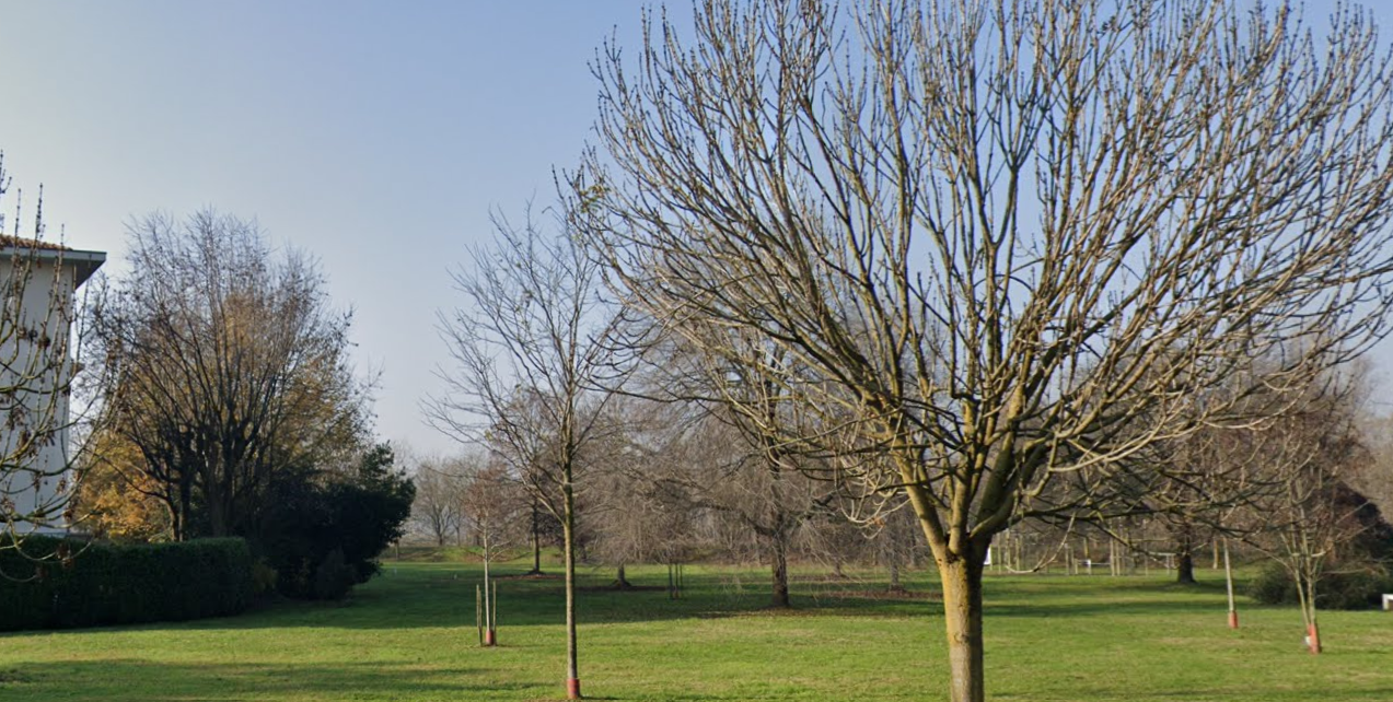 immagine-2025-10-03-101658.png