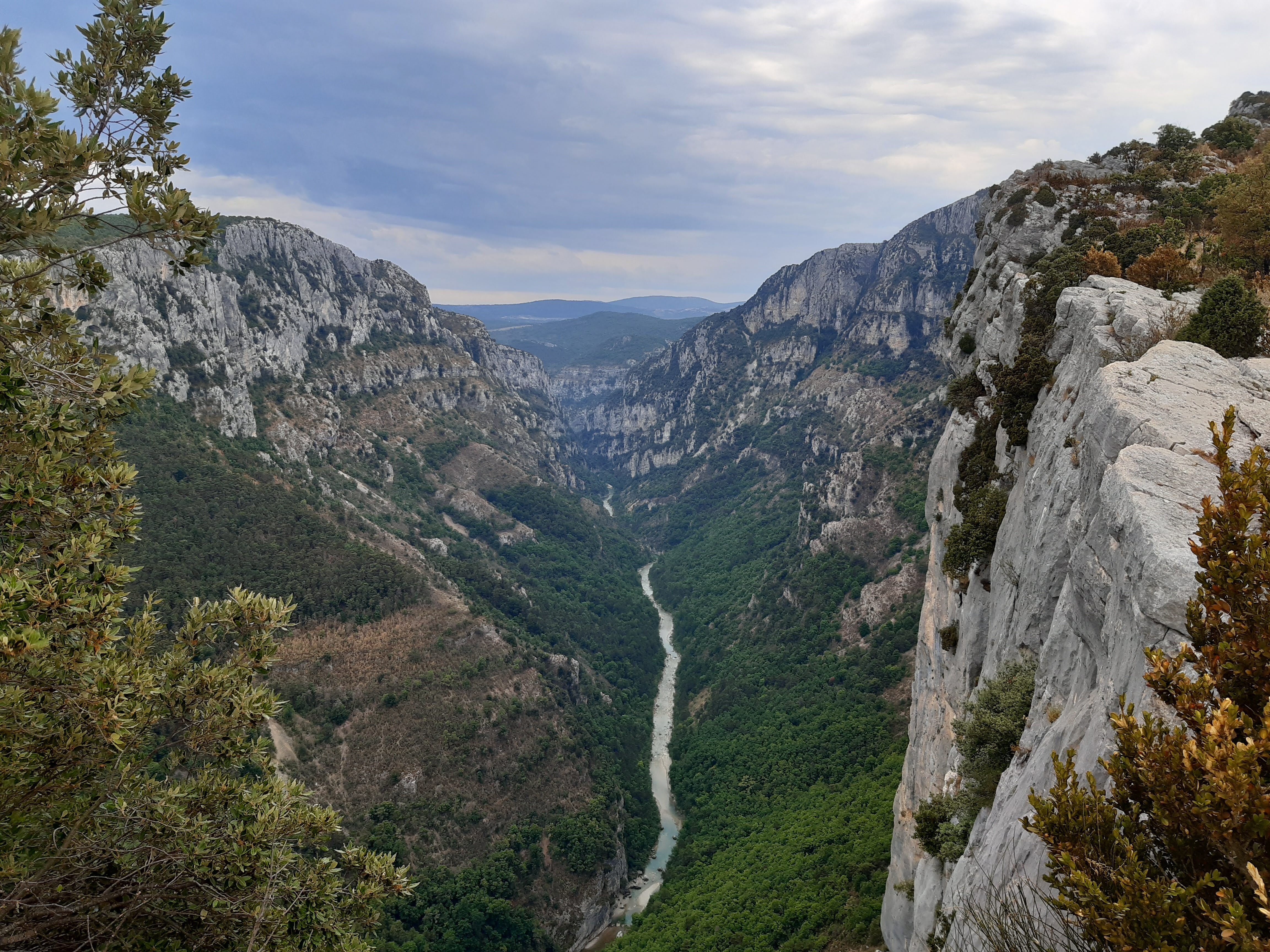 GOLE DEL VERDON
