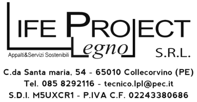 life project life project