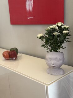 img_3536.jpeg img_3536.jpeg