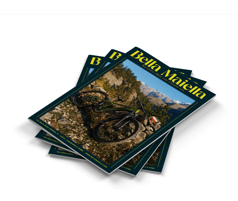 a4_brochure_mockup_2