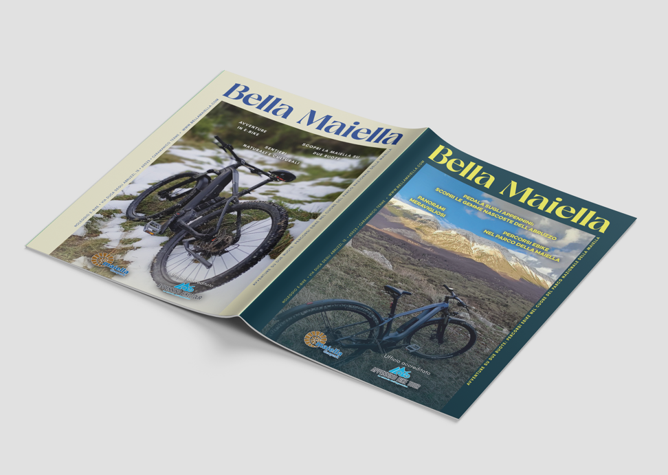 a4_brochure_mockup_8