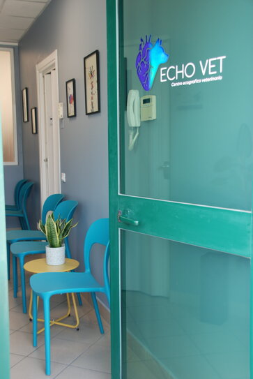Ingresso Centro Ecografico Veterinario Echo Vet
