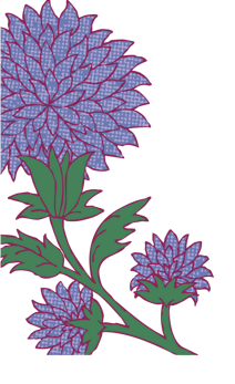 chiaramente-back2-business-card-portrait-cs46