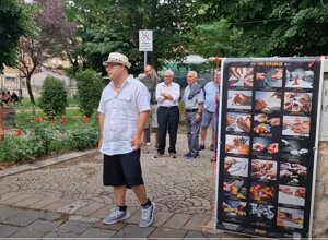 sindrome di down, cromosoma 21, cromosoma21, gregory macera