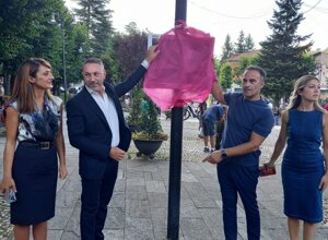 sindrome di down, cromosoma 21, cromosoma21, gregory macera