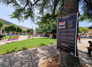 sindrome di down, cromosoma 21, cromosoma21, gregory macera