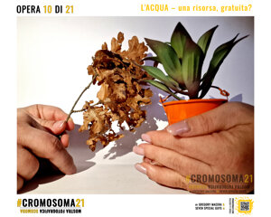 sindrome di down, cromosoma 21, cromosoma21, gregory macera
