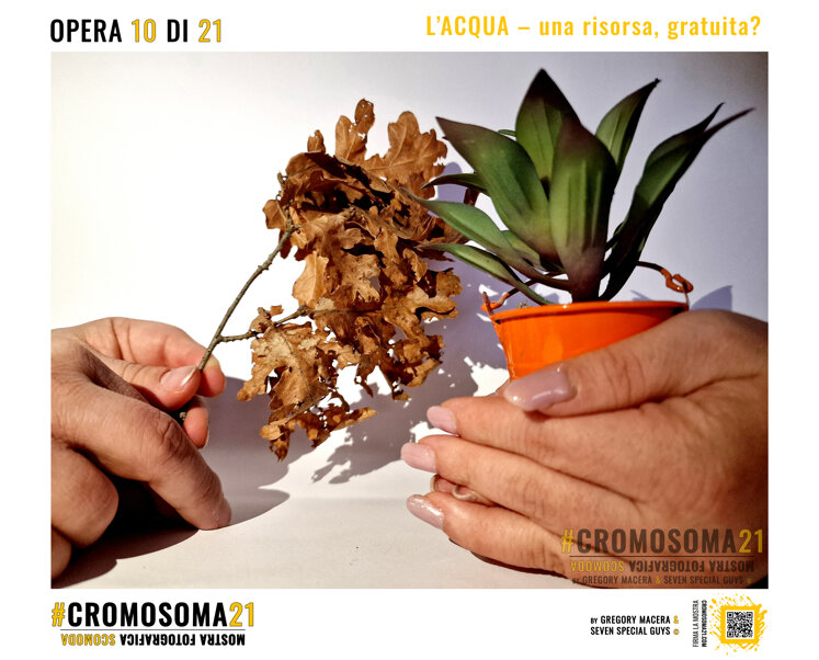sindrome di down, cromosoma 21, cromosoma21, gregory macera