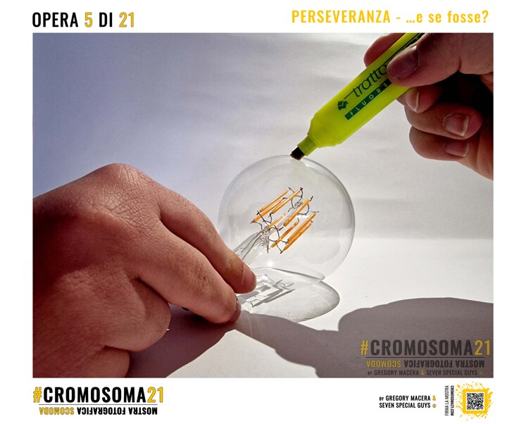 sindrome di down, cromosoma 21, cromosoma21, gregory macera, macera gregory