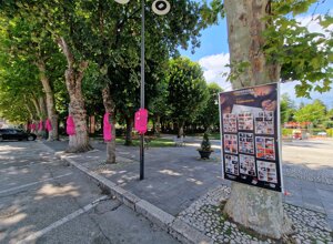 sindrome di down, cromosoma 21, cromosoma21, gregory macera