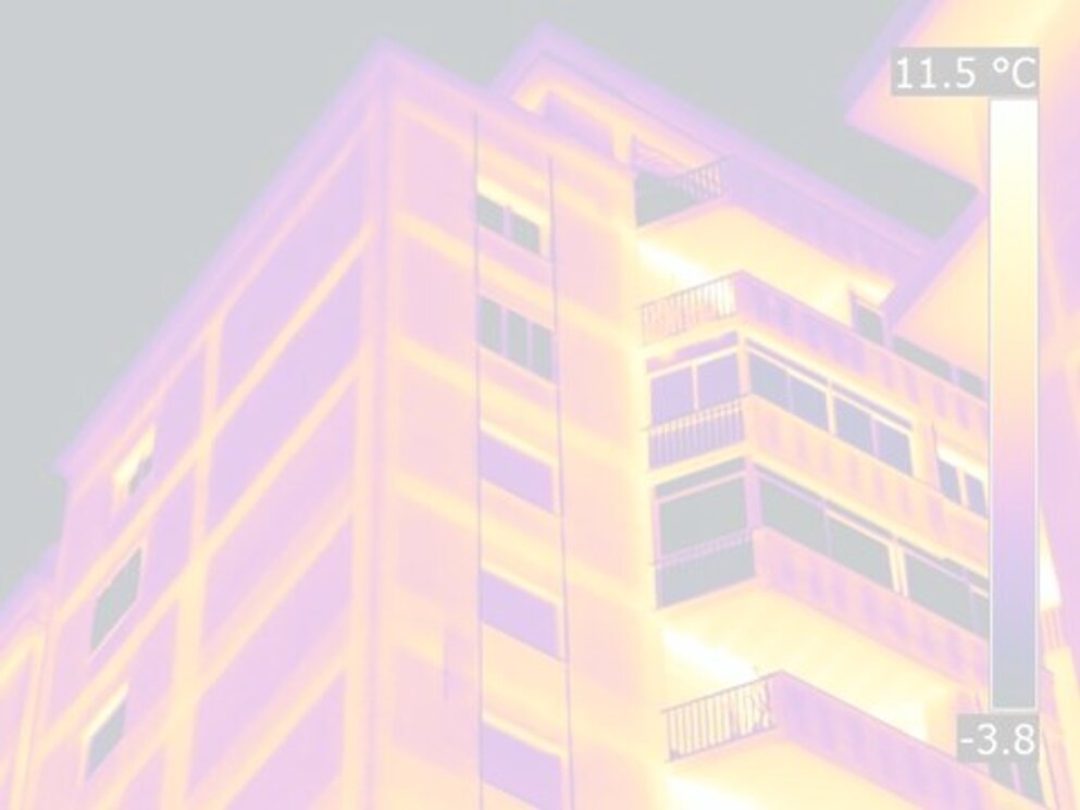servizi - termografia.jpeg