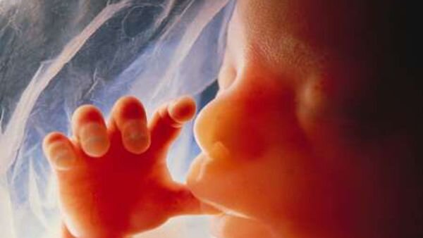 La risarcibilità del danno da perdita del feto - Commento ad Ordinanza n. 3362 del 2025 Terza Sezione Civile Corte di Cassazione La risarcibilità del danno da perdita del feto - Commento ad Ordinanza n. 3362 del 2025 Terza Sezione Civile Corte di Cassazione