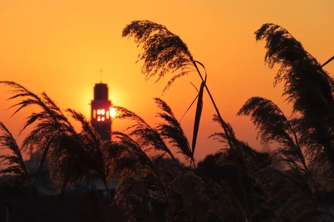foto_copertina fb.jpeg