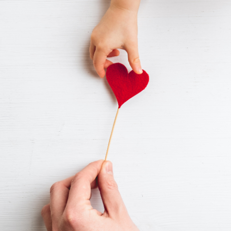 un passo alla volta odv (4)