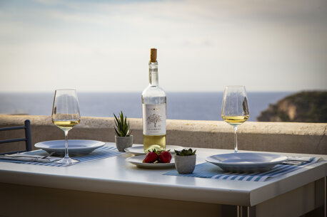 Aperitivo a Casa La Ginestra e il Mare Ponza