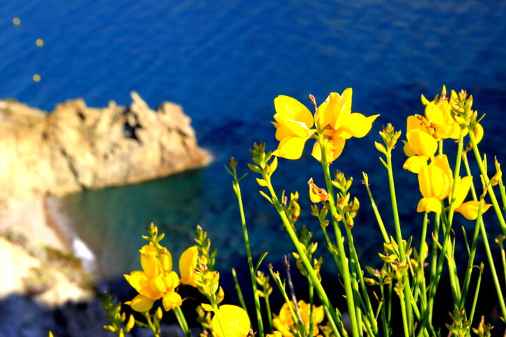 ponza53.jpeg ponza53.jpeg