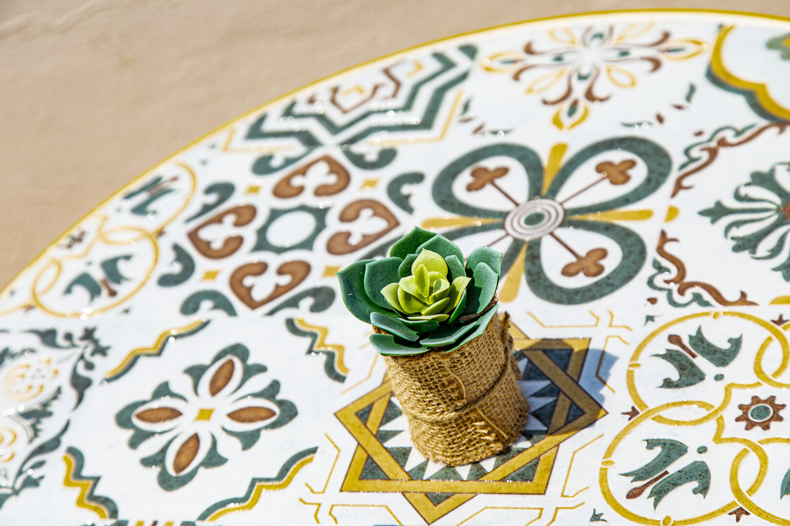 img_5498.jpeg img_5498.jpeg