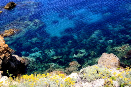 Casa La Ginestra e il Mare Ponza