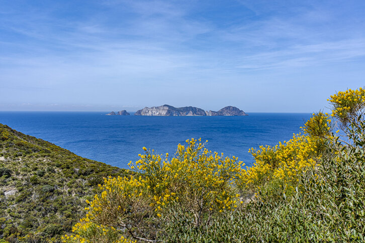 dscf3810.jpeg dscf3810.jpeg